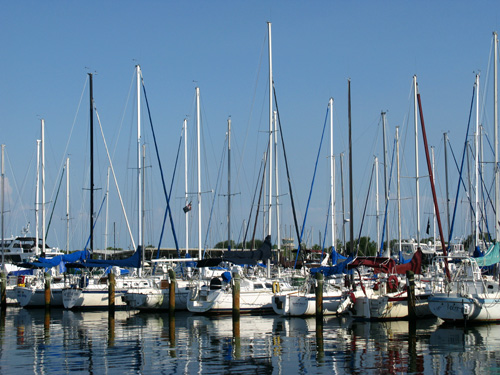 dinner at frescos marina harbor