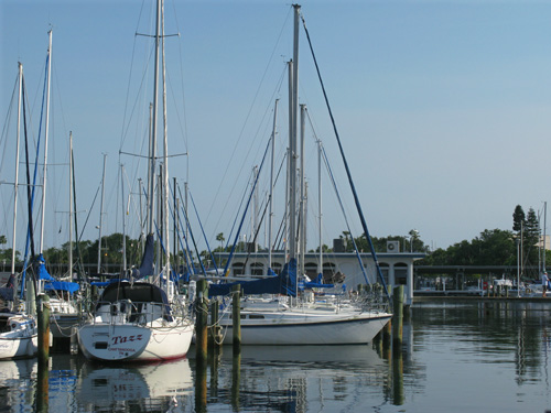 dinner at frescos marina harbor