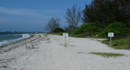 the fort desoto dog beach has markers at each boundary