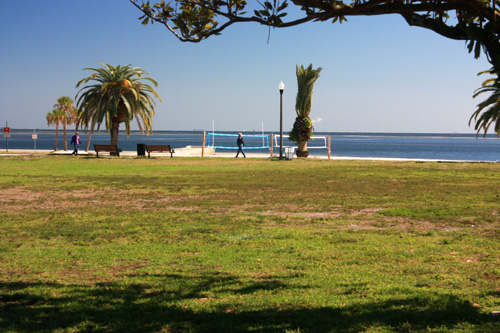 gizella kopsick palm arboretum has a large grassy area to the north