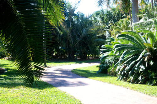 gizella kopsick palm arboretum path to the south