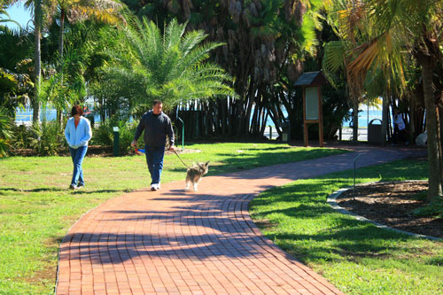gizella kopsick palm arboretum is good for walking dogs