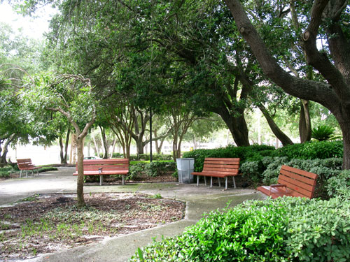 pioneer park view of benches in st petersburg fl