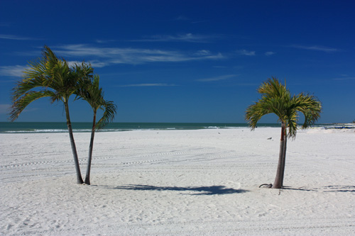 st pete beach palms and gulf of mexico