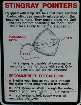 stingray warning sign