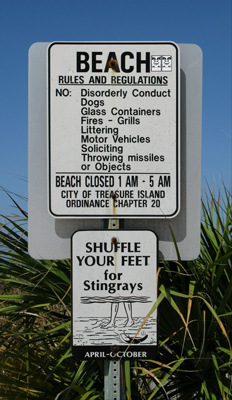 stingray season warning sign treasure island fl