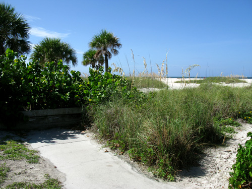 treasure island beachtrail start