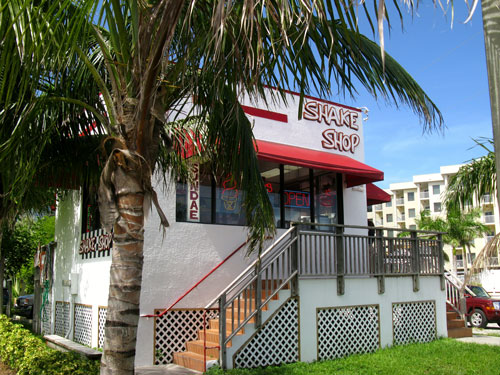 treasure island shake shop