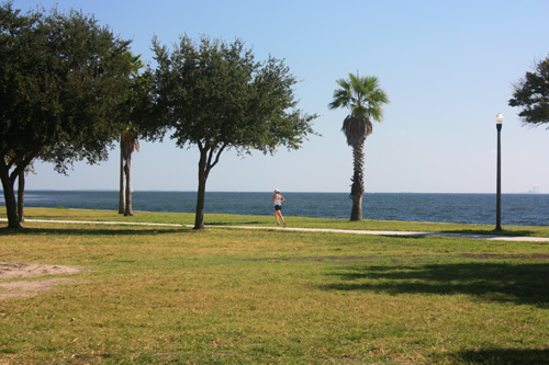 vinoy park is a beautiful venue for runners