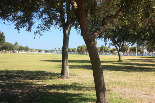 vinoy park has a huge grassy area to north shore pool