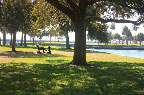 vinoy park is a great place to read