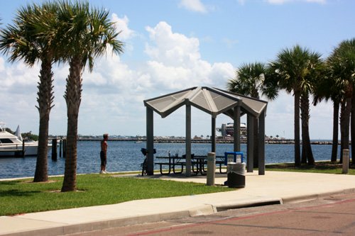 Some of the picnic areas look out into Tampa Bay.