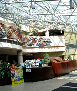 anchorage alaska library