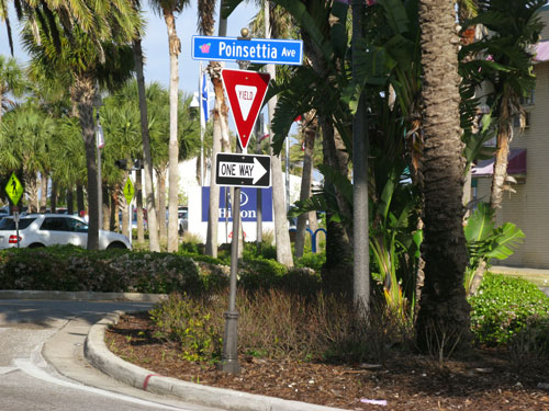 poinsettia avenue on our ride to the beach shanty cafe on clearwater beach fl