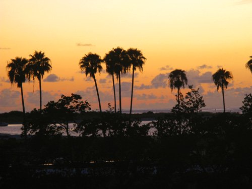 sunset view from billy's stonecrab restaurant upper bar