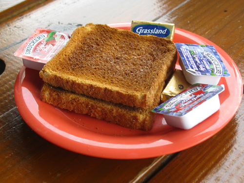 breakfast at the blue parrot toast