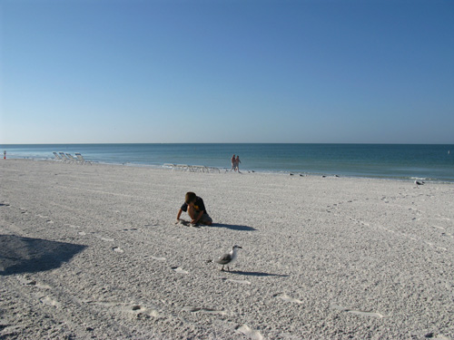 breakfast at caddys on gulf blvd in treasure island florida look south along sunset beach