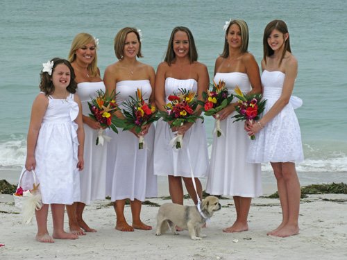 cheap beach wedding attire for the bride and her attendants