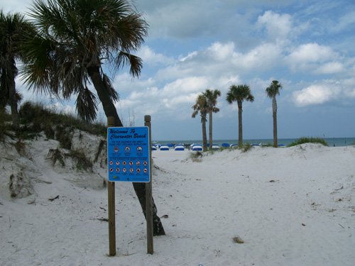 we took a walk on the beach after breakfast at crabbys