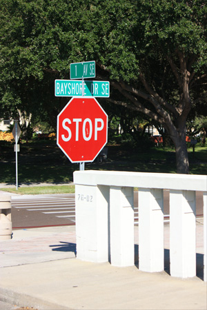 demens landing park is located at 1st avenue SE and bayshore drive in downtown st petersburg florida