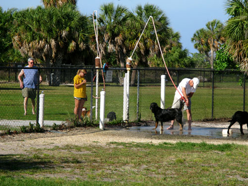 paw playground has cooling stations for your pup at the fort desoto dog beach park