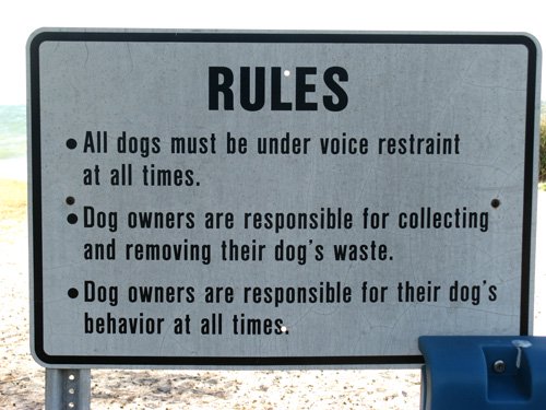 fort desoto dog beach rules