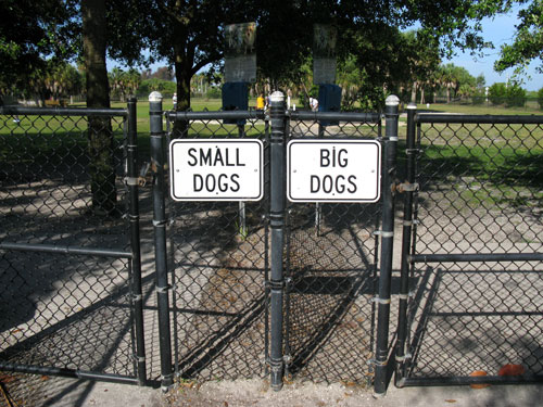 paw playground is divided into two areas for big and small dogs at the fort desoto dog beach park