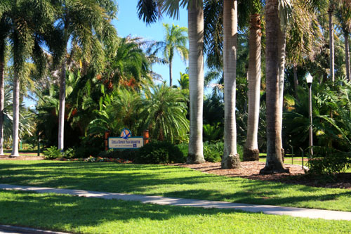 gizella kopsick palm arboretum view from north shore drive