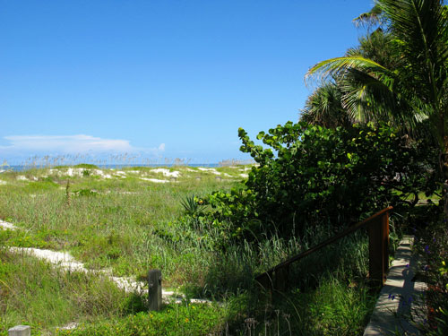indian rocks beach path to the gulf