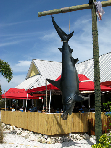 Everybody gets their picture taken next to this fake shark at Island Outpost Restaurant.