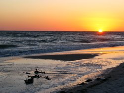 madeira beach fl