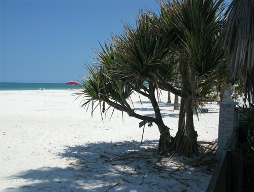 the beaches on north beach are sugary white and uncrowded