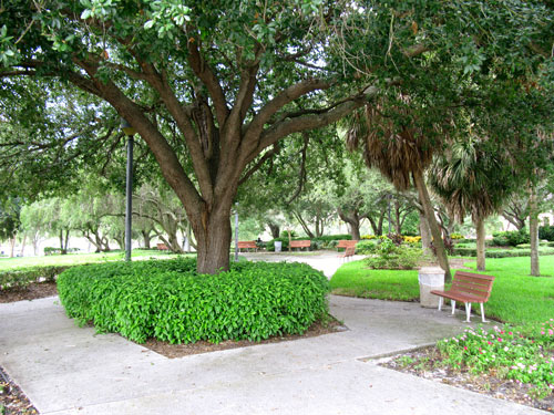 pioneer park from bayshore drive and central avenue in st petersburg fl