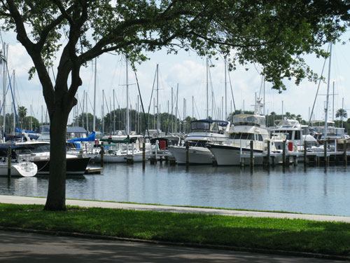 pioneer park view of st pete yacht club in st petersburg fl