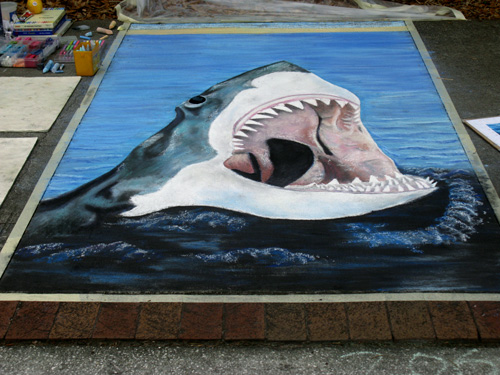 safety harbor florida chalk art shark drawing