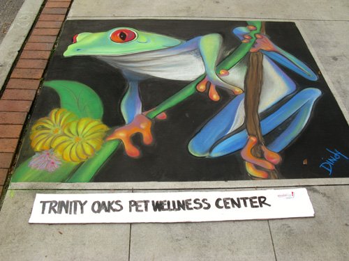 safety harbor florida chalk art tree frog drawing