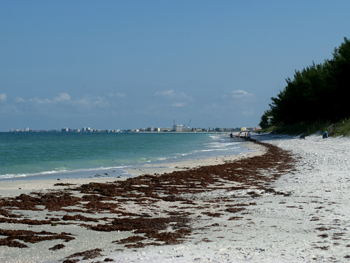 wrack sunset beach treasure island fl