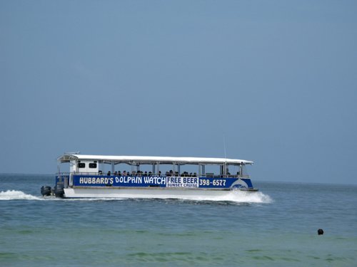 sunshine beach on treasure island fl south of john's pass is a great place to watch the dolphin boat