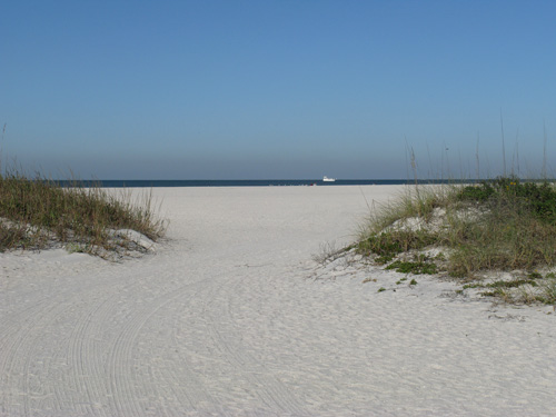 Thanksgiving Day Beach Run looking betwen the dunes.