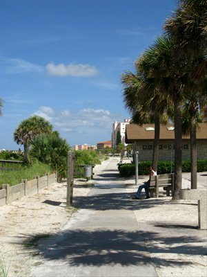 looking north along the beachtrail