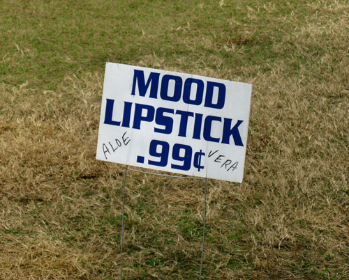 the treasure island open air mood lipstick