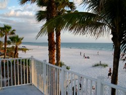 undertow beach bar view